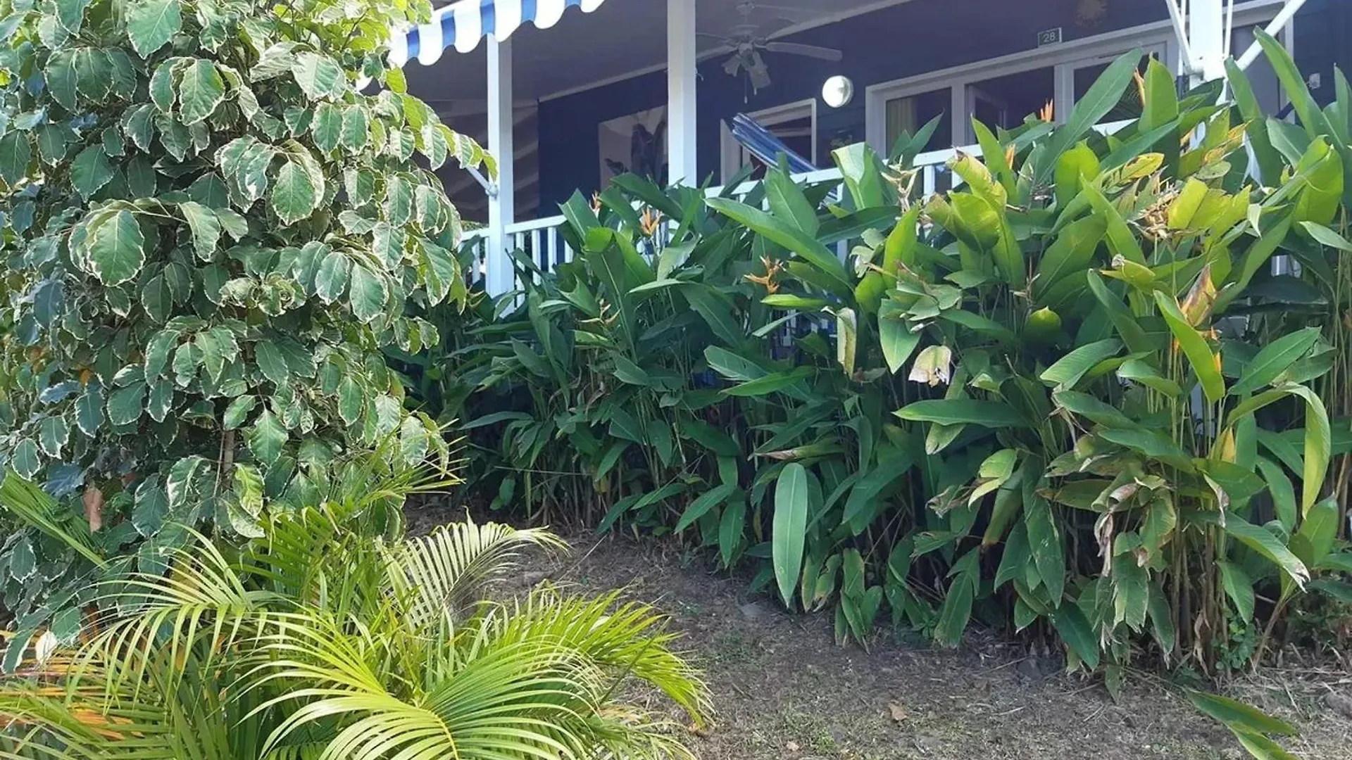 Bungalow de 2 chambres a Bouillante a 100 m de la plage avec vue sur la mer jardin amenage et wifi 0*,  Guadeloupe